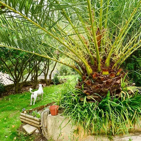 Daire - Jardin Secret *